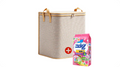 Large Collapsible Storage Bag with Handles