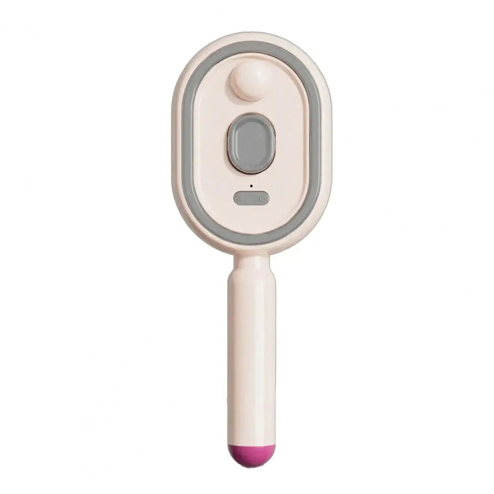 Electric Steam Hair Brush with Water Spray Reduce Frizz Anti-Static Misting Hairbrush Cordless Fluffy Hair Detangling Brush