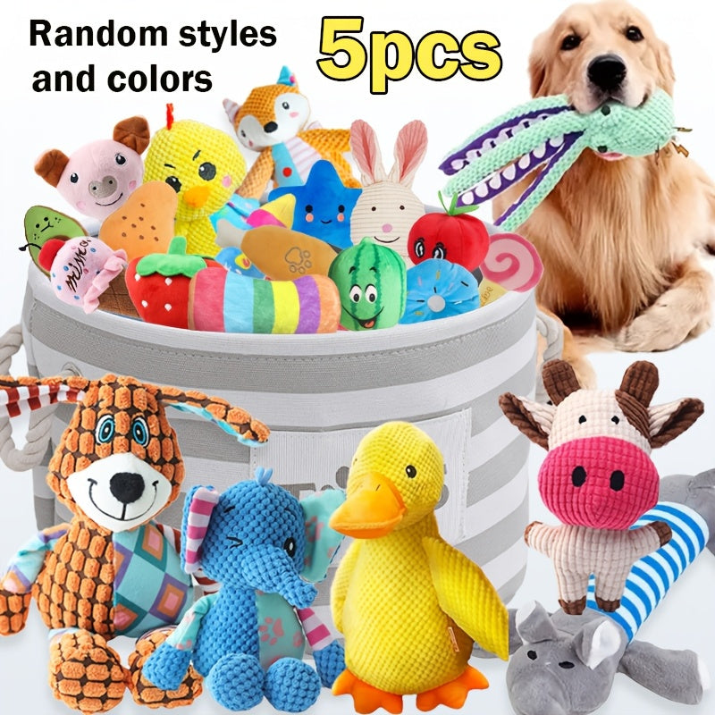 5 Random Style Dog Squeak Toy Set